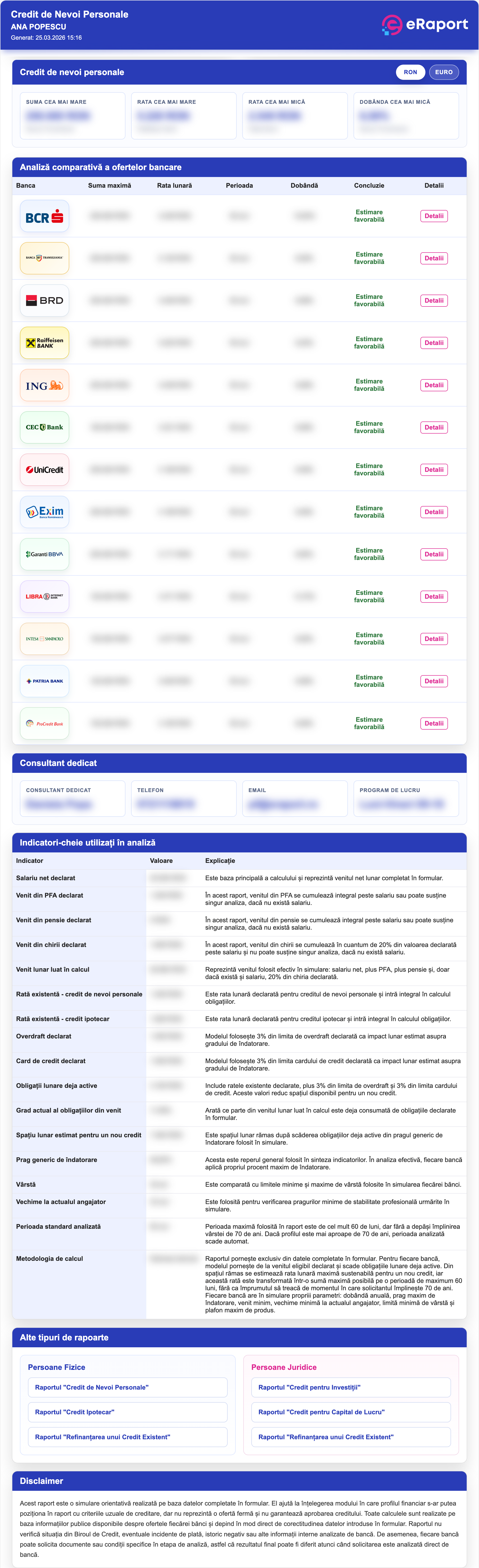 Preview raport eRaport pentru credit de nevoi personale