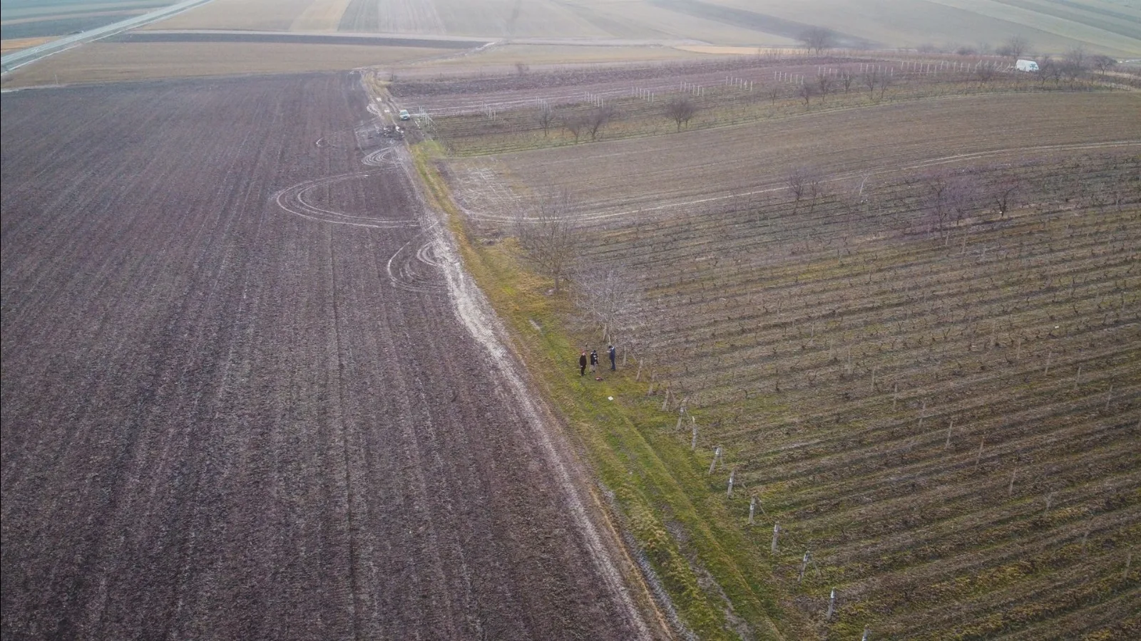 Credit ipotecar teren agricol vs. intravilan: ce riscă cumpărătorul
