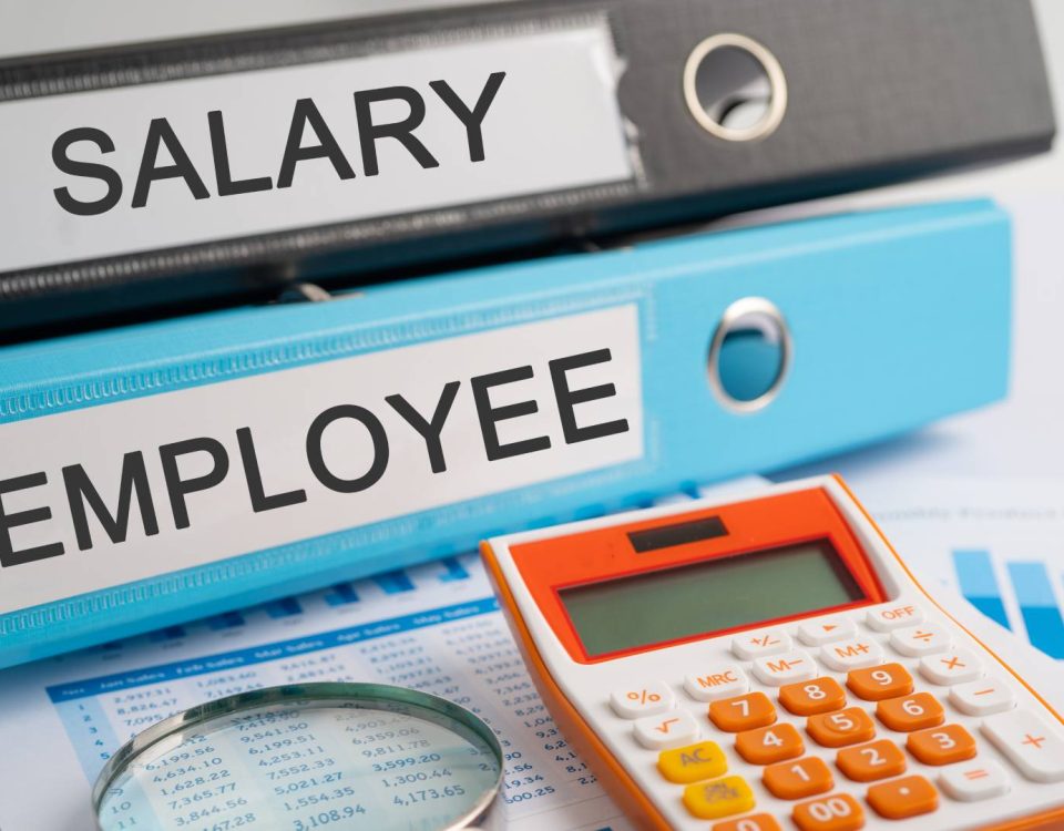 Rolul cheltuielilor salariale în creditare