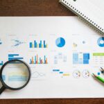 Analiză a unui plan de afaceri și strategie de dezvoltare