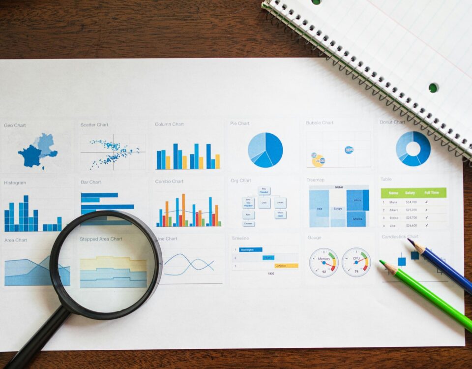 Analiză a unui plan de afaceri și strategie de dezvoltare