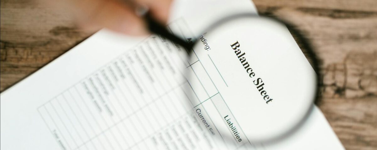 Document de audit financiar pentru o firmă