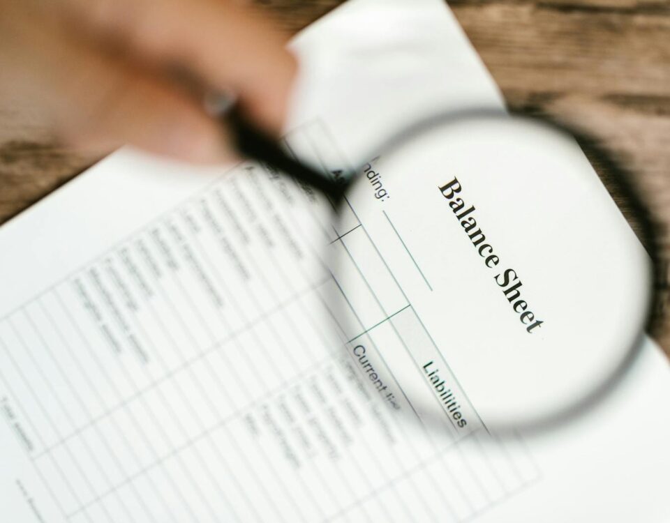 Document de audit financiar pentru o firmă